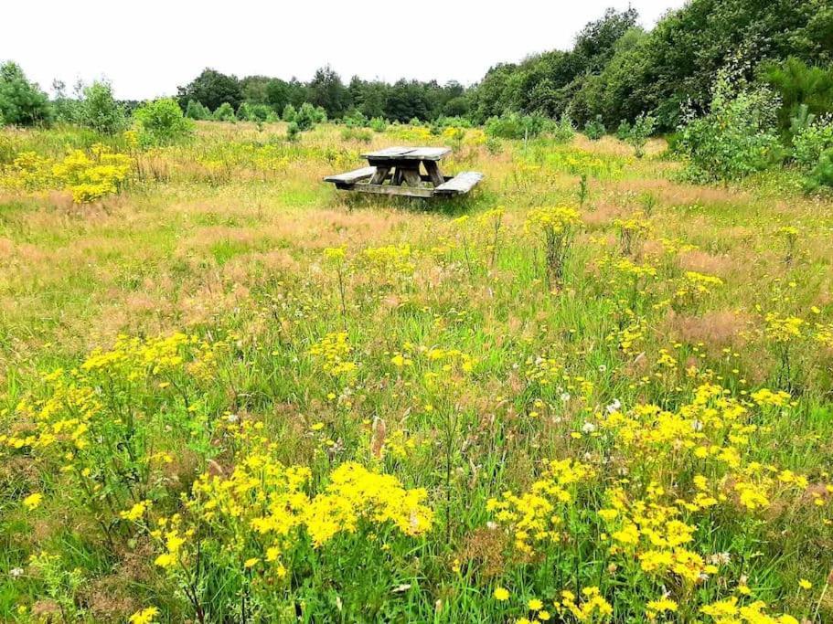 Vakantiehuis Eikzicht Gelegen Aan Het Bos Elsloo  Экстерьер фото
