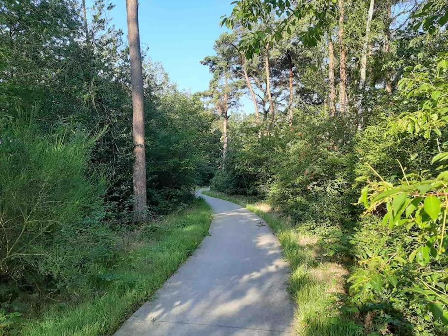 Vakantiehuis Eikzicht Gelegen Aan Het Bos Elsloo  Экстерьер фото