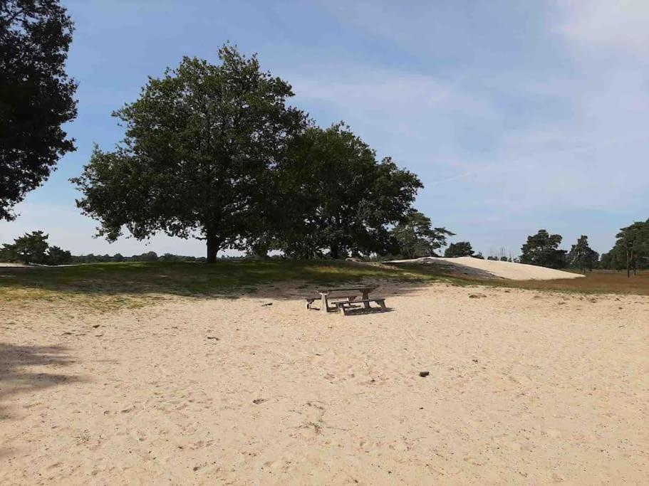 Vakantiehuis Eikzicht Gelegen Aan Het Bos Elsloo  Экстерьер фото