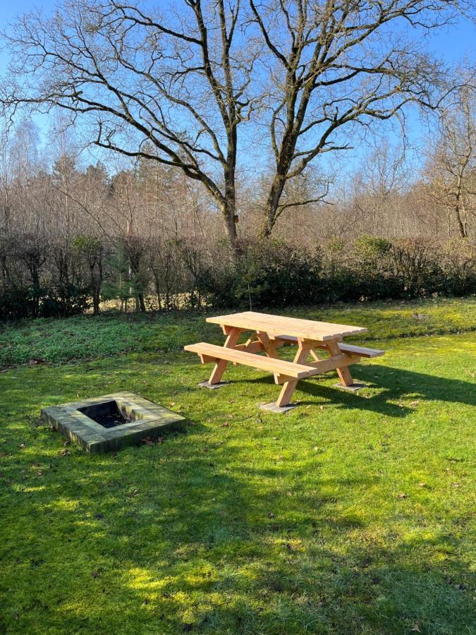 Vakantiehuis Eikzicht Gelegen Aan Het Bos Elsloo  Экстерьер фото
